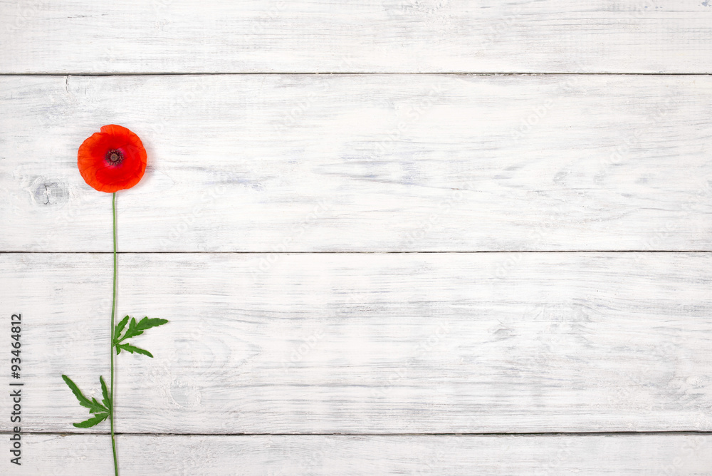 Obraz premium red poppy on old white wooden table