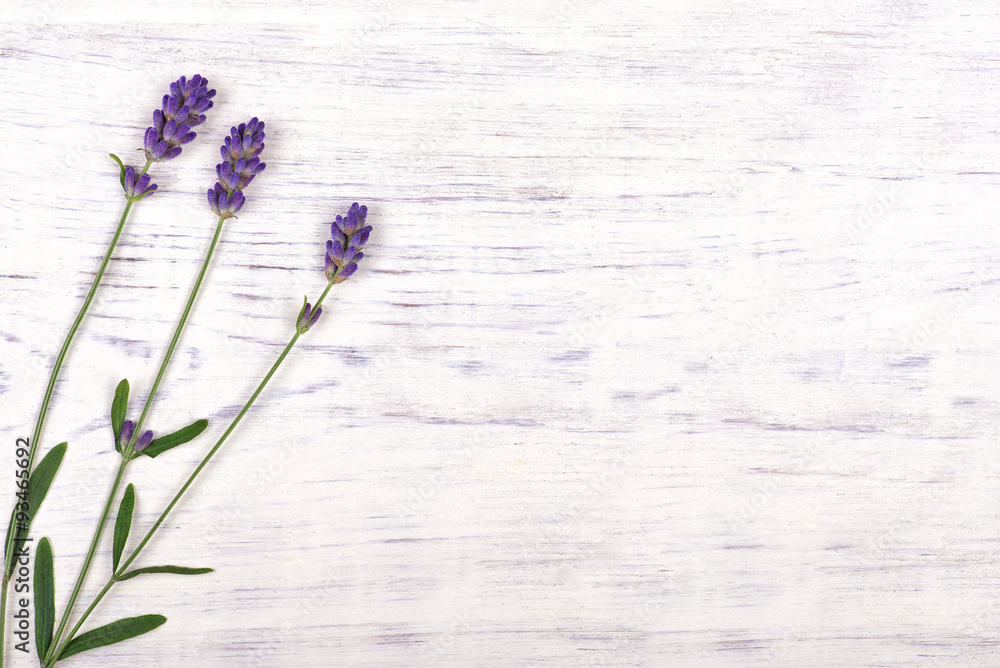Fototapeta premium lavender flowers on white wood table background