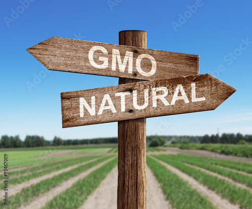 GMO and natural road sign with pea field as a background