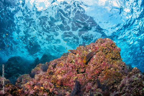 underwater waves on the reef