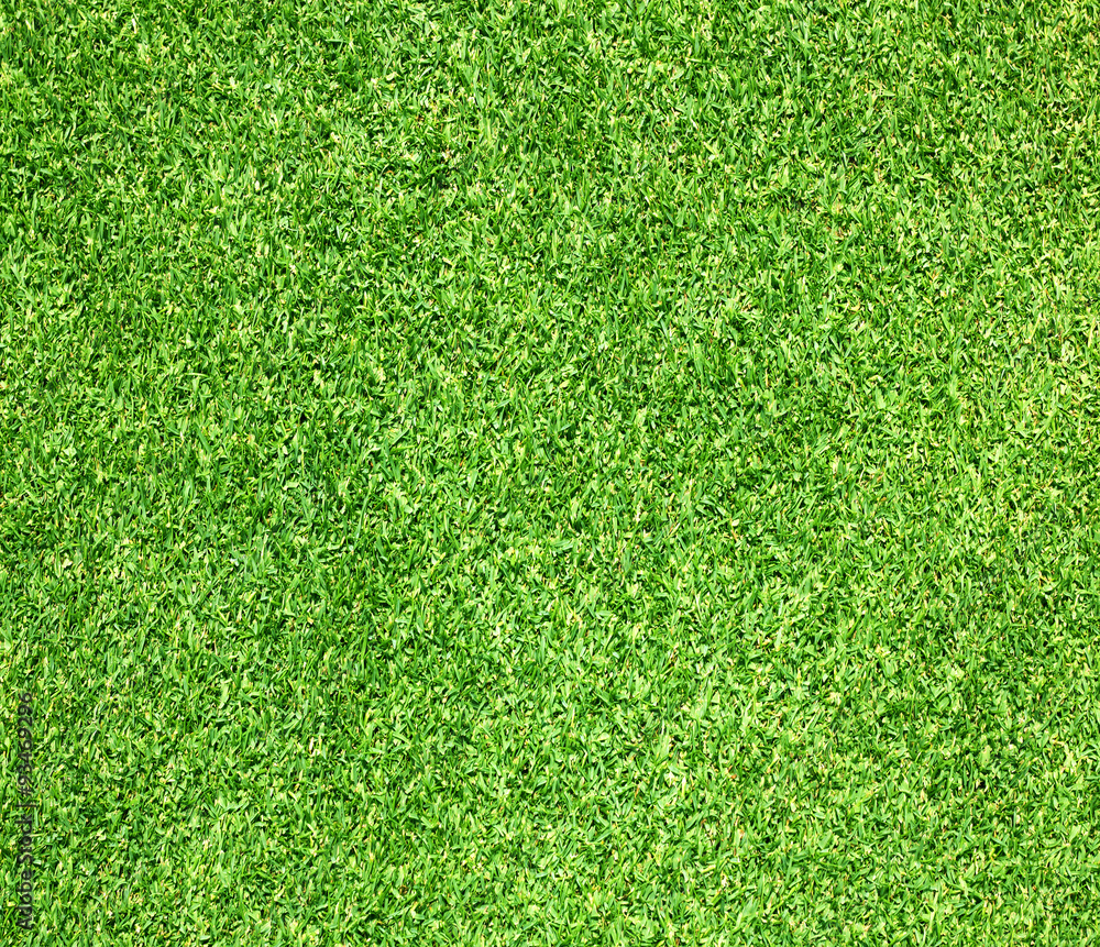 Obraz premium Golf Courses green lawn