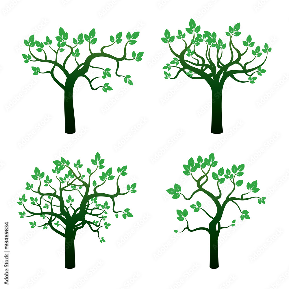Obraz premium Set of Green Trees. Vector Illustration.