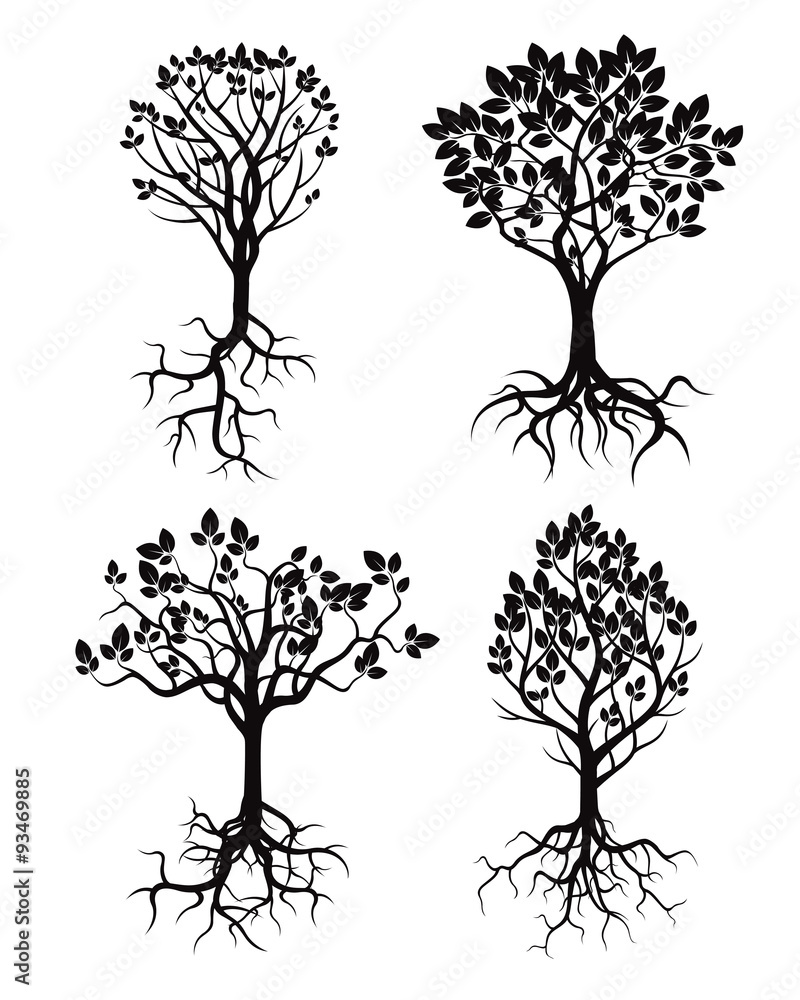 Obraz premium Set of Black Tree and Roots. Vector Illustration.