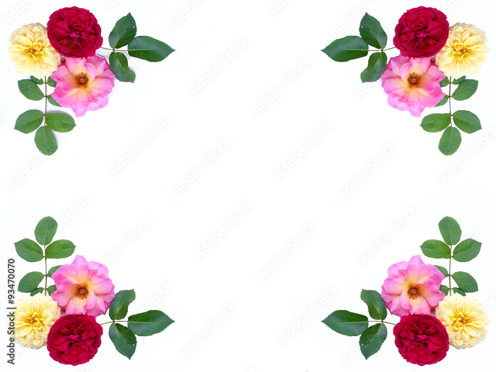 Roses border for card 