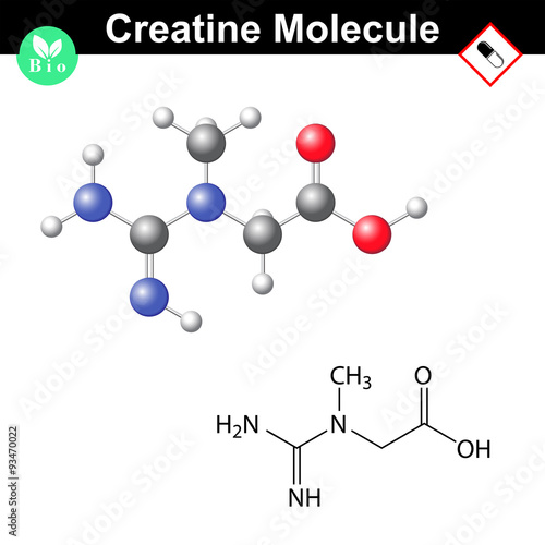 Creatine molecule