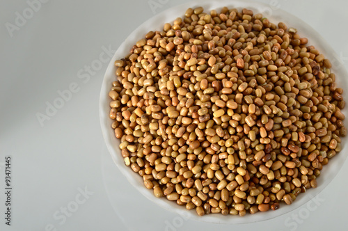 Closeup Of Moth Beans a lesser known legume, Indian name Matki
 photo