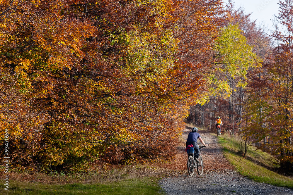 Mountain biker in autumn forest