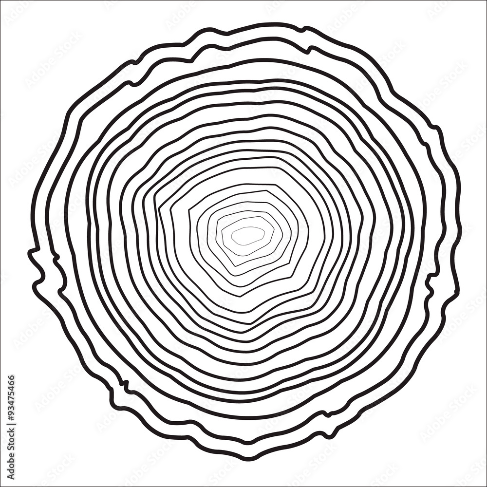 Fototapeta premium Tree rings background and saw cut tree trunk vector, forestry and sawmill