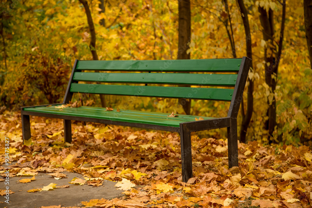 Green bench in a golden park