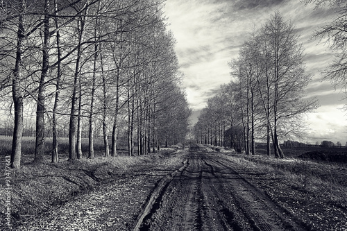 Fototapeta czarno-białe zdjęcie jesień krajobraz