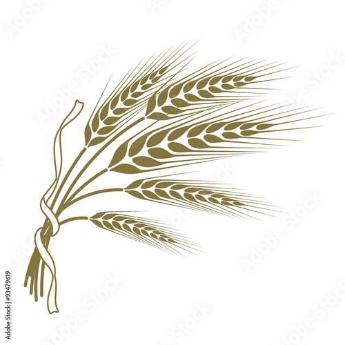 spikelets of wheat tied with a ribbon