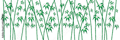 Fototapeta Naklejka Na Ścianę i Meble -  vector background green bamboo on white