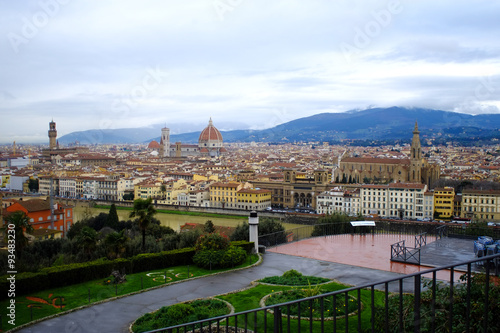 Particular view of Florence