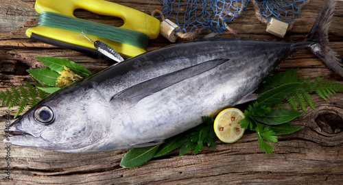 Tableau sur toile Albacore fish (Tunnus Alalunga)