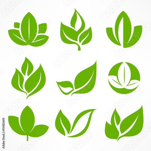 Green leaf signs  design elements  illustration.