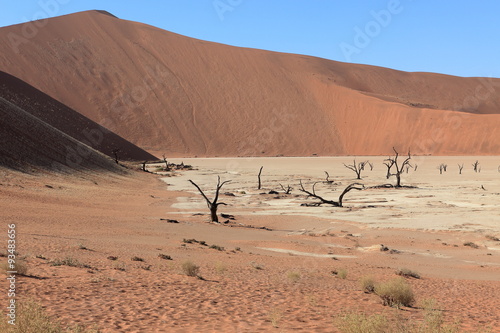 Die Wüste Namib mit dem Deadvlei und dem Sossusvlei in Namibia   photo