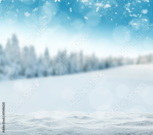 Winter snowy landscape