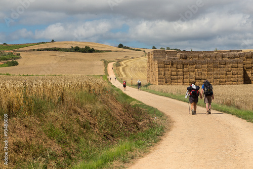 Walking through the grain fields near Ciruena on the Camino de Santiago Fototapet