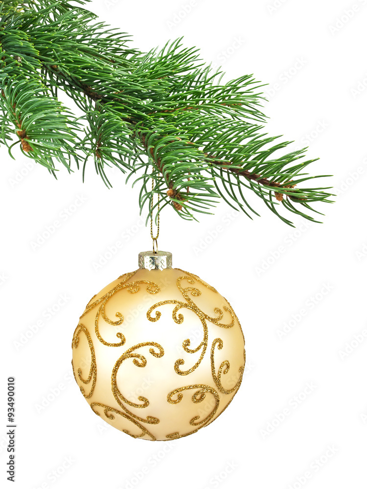 Branch of Christmas tree Branch of Christmas tree
