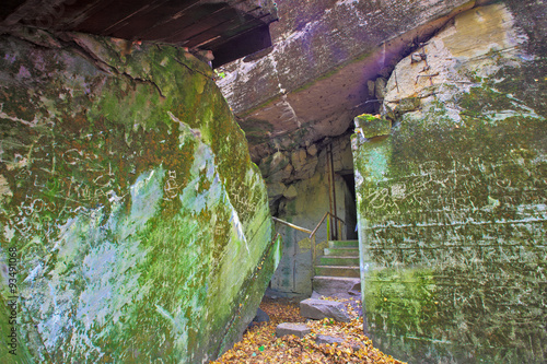 Fototapeta Naklejka Na Ścianę i Meble -  wilczy szaniec-ruiny kwatery Hitlera