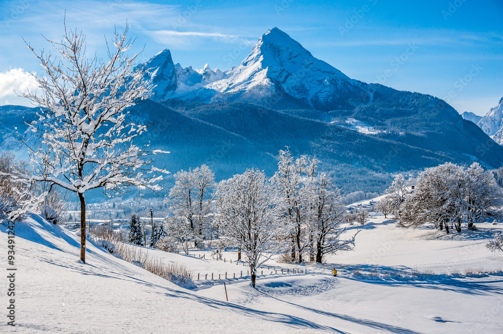 Winter wonderland in the Alps with path