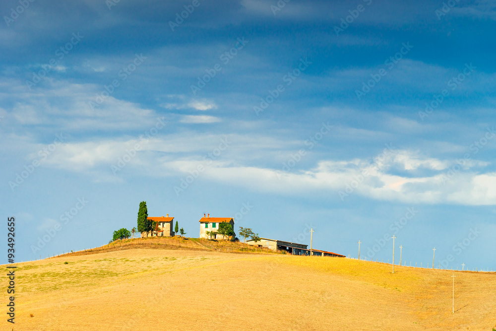 Fototapeta premium Fields in Tuscany