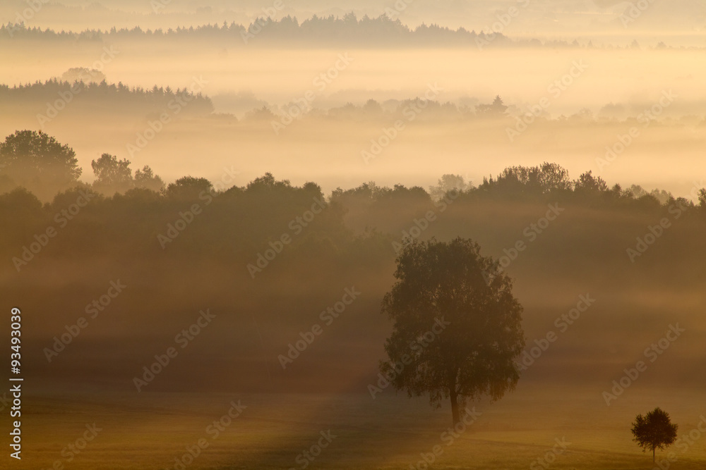 Fototapeta premium Herbstlandschaft