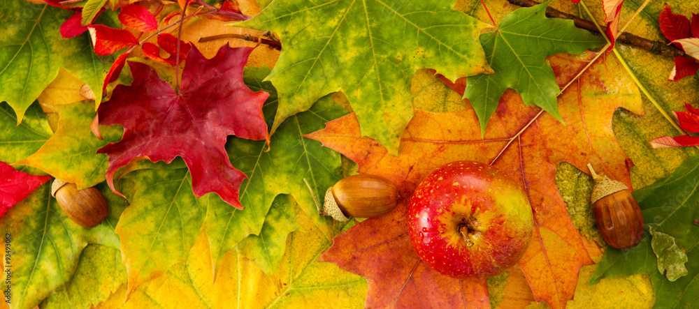 Colorful autumn leaves background and apple. Colorful autumn leaves background and apple.