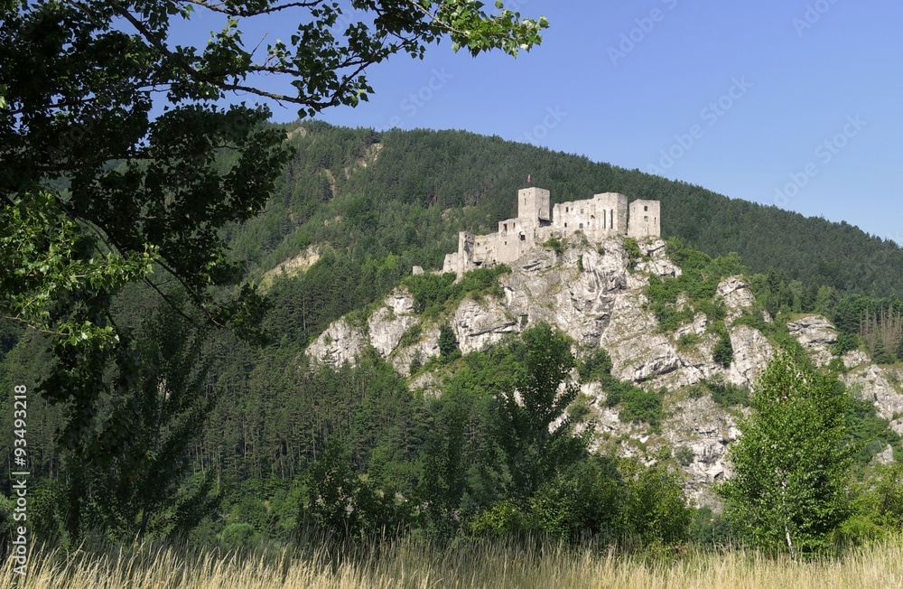 Fototapeta premium Strecno ruin castle