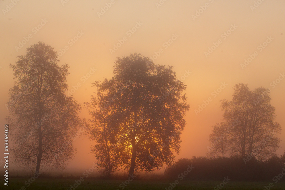 Herbstlandschaft