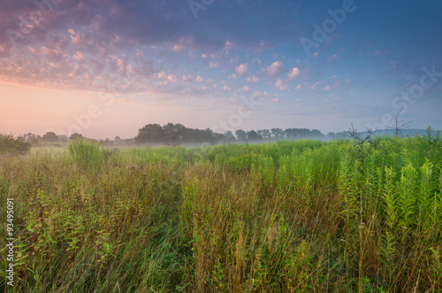 Sunrise over colorful summer meadow full of yellow goldenrods.