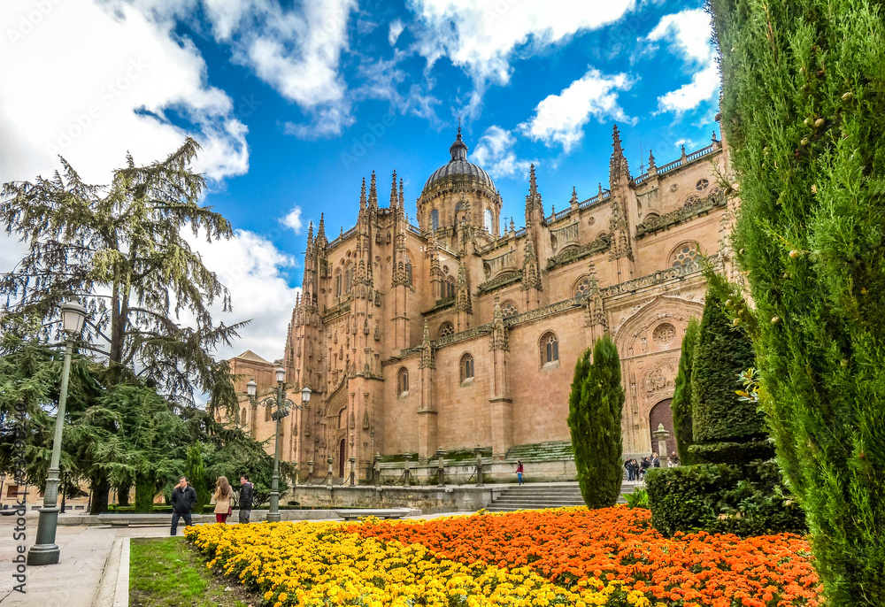 Cathedral of Salamanca, Castilla y Leon, Spain