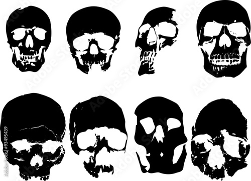 Halloween Skulls