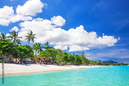 Tropical white sand with palm trees © preto_perola