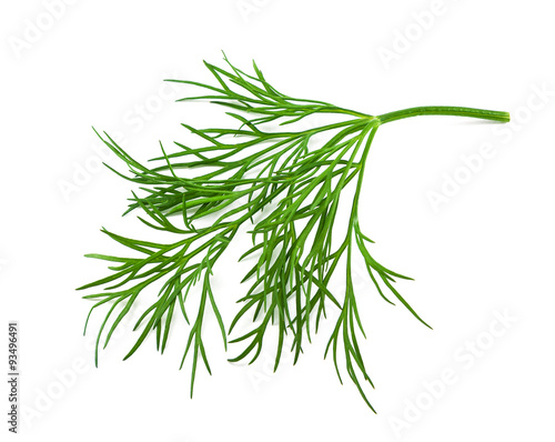 Canvas Print fresh dill on white background