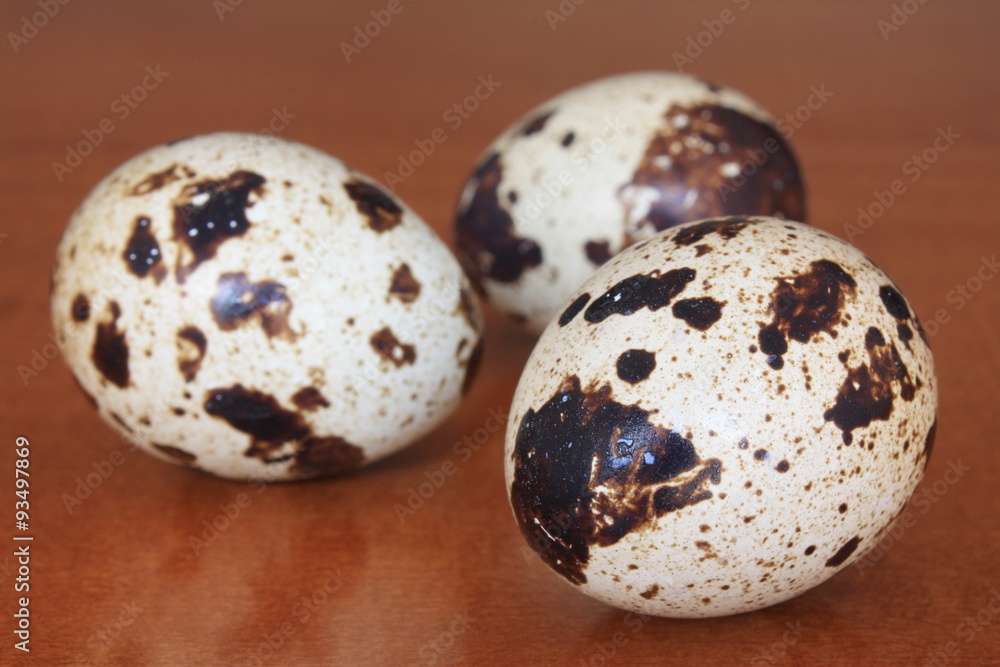 Oeuf de caille Oeuf de caille