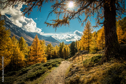 sentiero di montagna in autunno