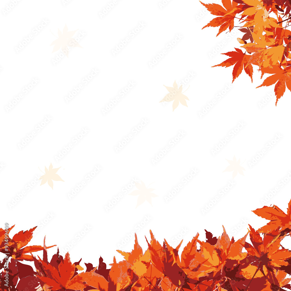 秋 紅葉 イラスト 白バック Stock Vector Adobe Stock