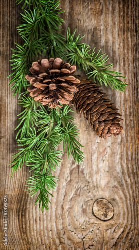 Christmas tree branches with pine cones