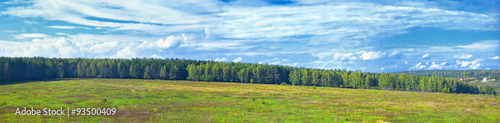 Panoramic landscape of sunny autumn forest