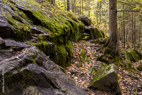 Beautiful Landscape with algae on rocks during autumn season