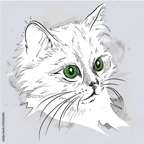Hand draw cat portrait. Vector illustration
