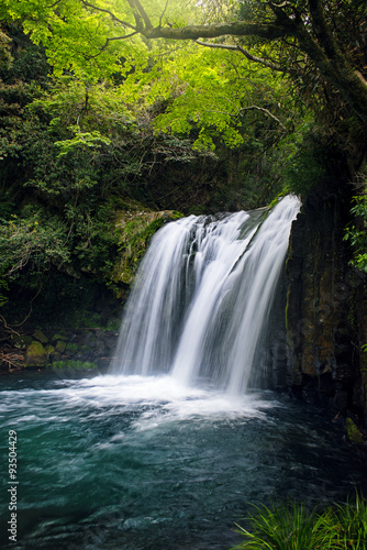  日本の滝 河津七滝 初景滝