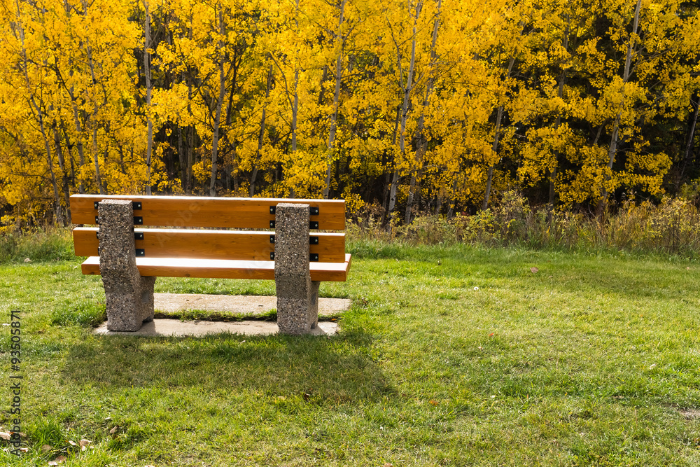 Fototapeta premium Wooden bench on concrete base in sunlight