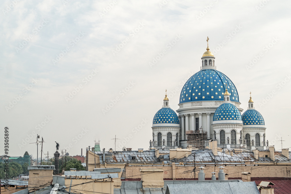 Вид на Троицкий собор с крыш