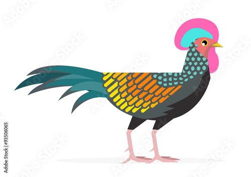  gallo bankiva