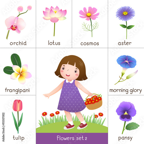 Printable flash card for flowers and little girl picking flower