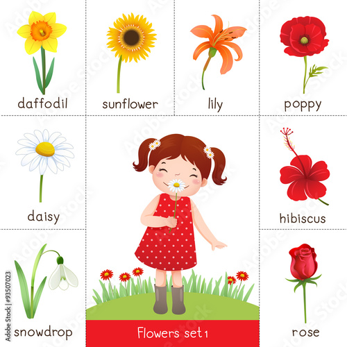Illustration of printable flash card for flowers and little girl smelling flower