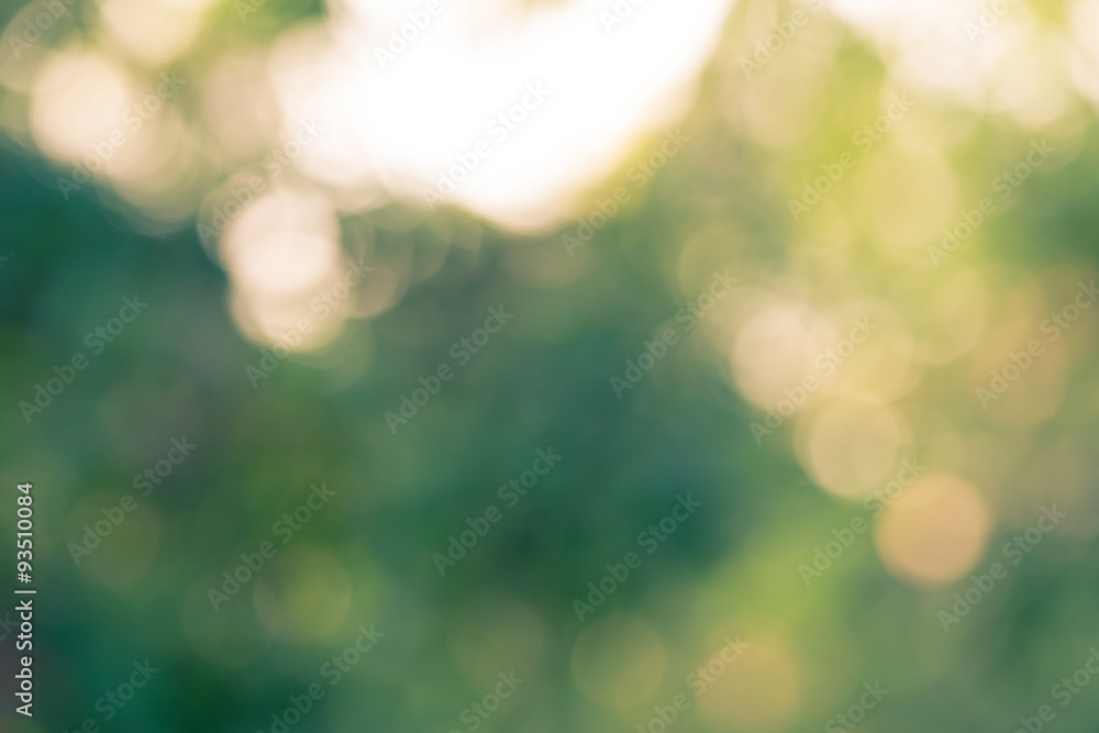 Out of focus natural bokeh background Out of focus natural bokeh background