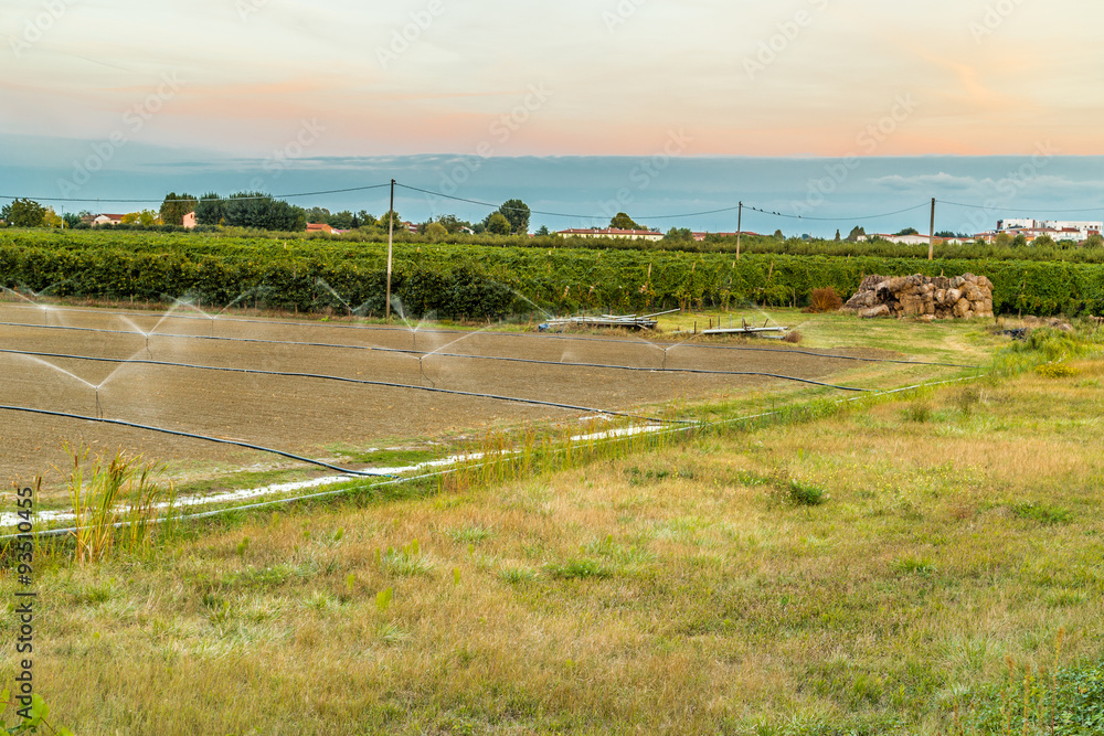 Irrigation of agricultural field with sprinklers
